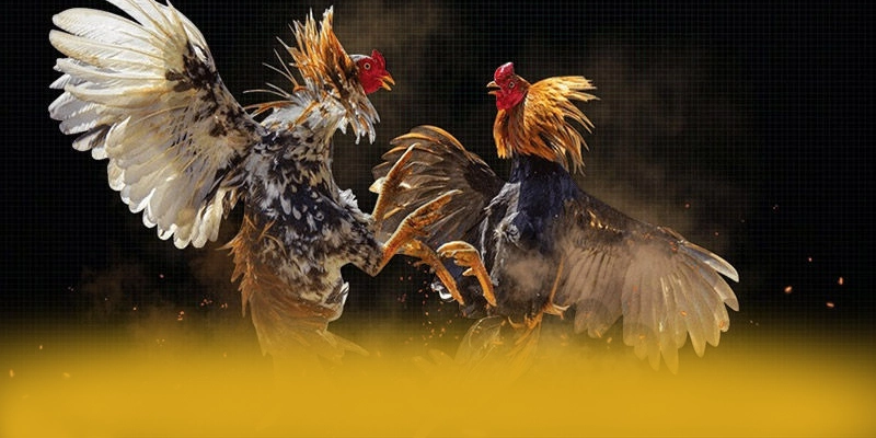 Điểm khác biệt của 8xbet trên thị trường