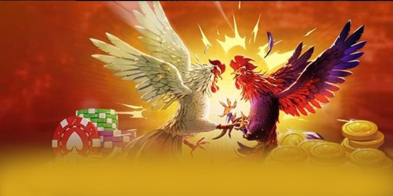 BET168 - Kết luận với góc nhìn khách quan.