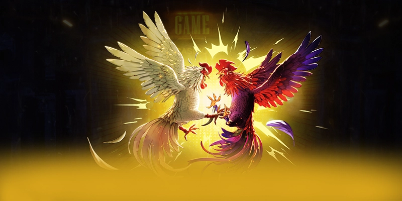 Trải nghiệm mọi lúc mọi nơi cùng 8XBET